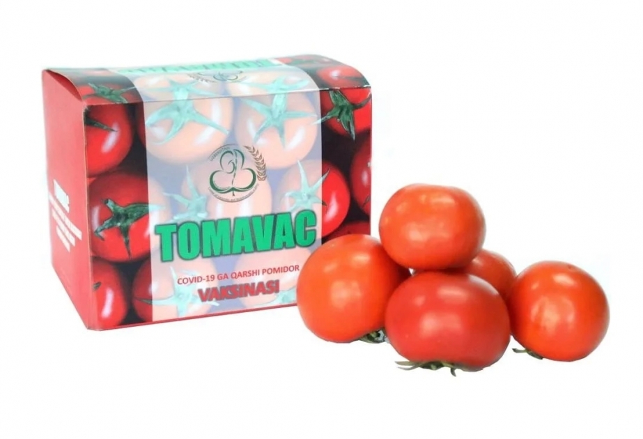 Uzbekistan develops edible COVID-19 vaccine made from tomato - AZERTAC