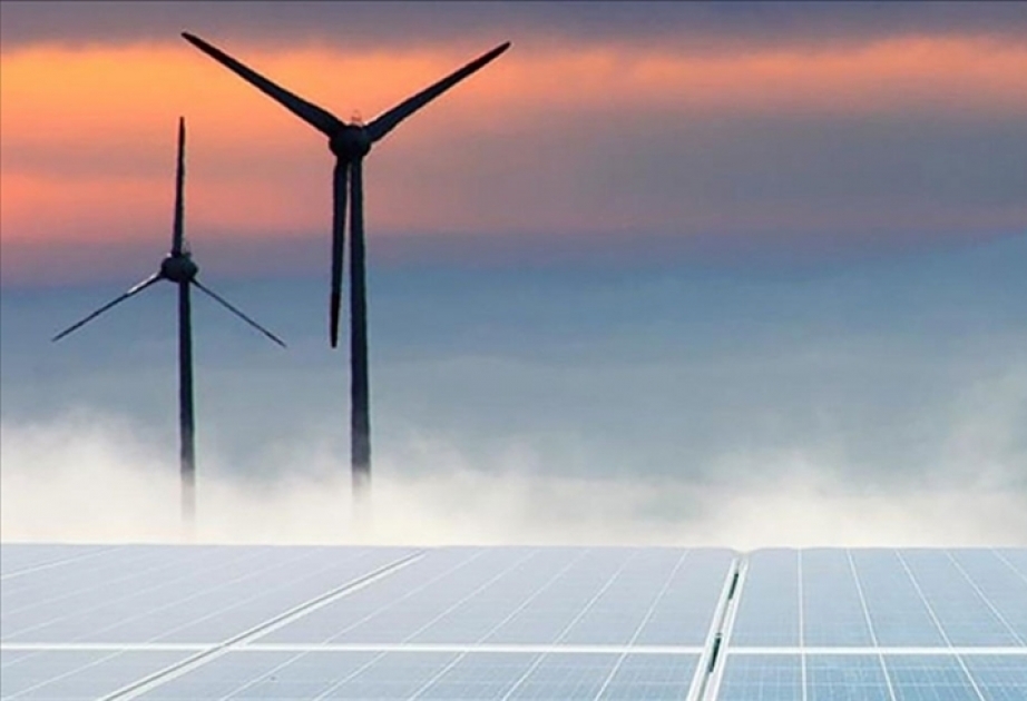 Int. Energy Agency predicts 2.5-fold growth in global renewable capacity by 2030
