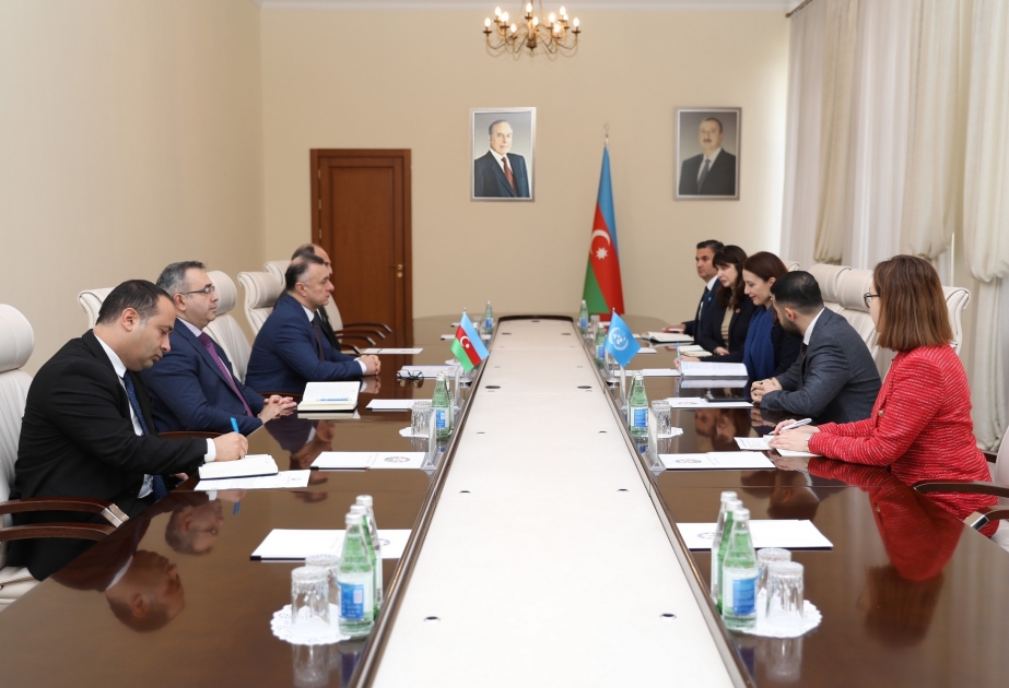 Se discuten las áreas prioritarias de cooperación entre Azerbaiyán y UNICEF