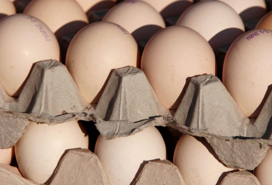 Azerbaiyán exportó 1,5 millones de huevos a Rusia