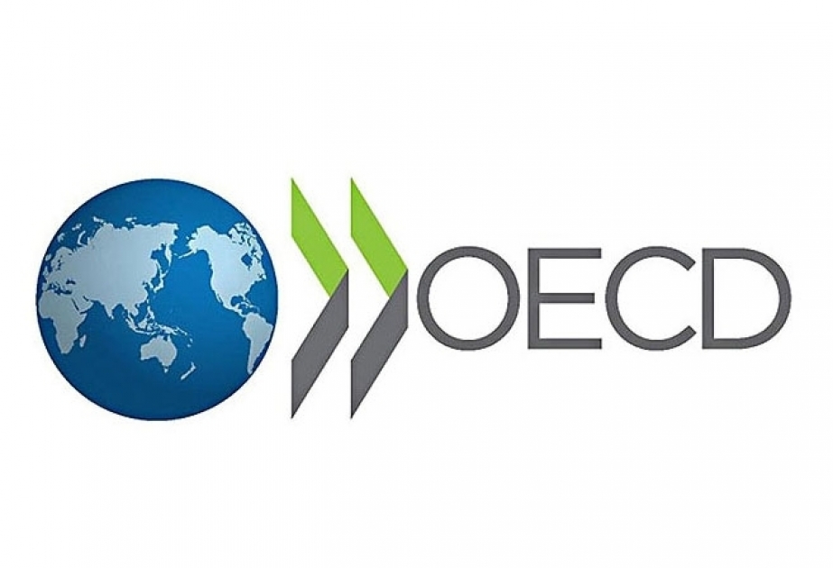 OECD chief says Indonesia's membership application 'exciting'