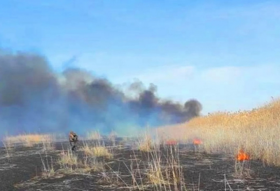 FHN: Paytaxtın Xətai rayonunda 450 kvadratmetr sahədə qamışlıq ərazi yanıb