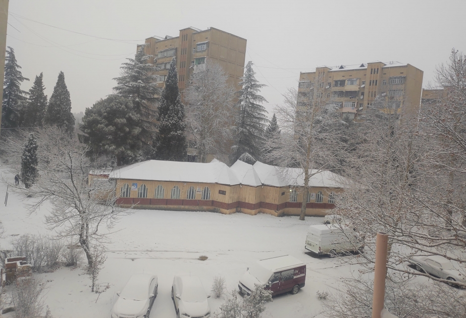 Gəncə ağ örpəyə bürünüb  FOTO VİDEO