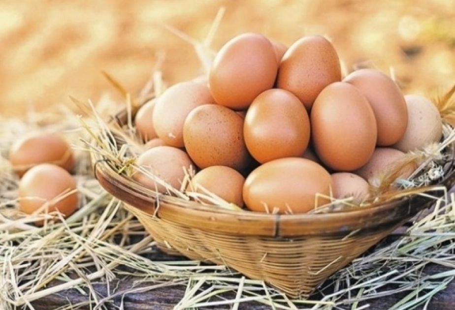 Azerbaiyán exporta por primera vez huevos reproductores a Kuwait
