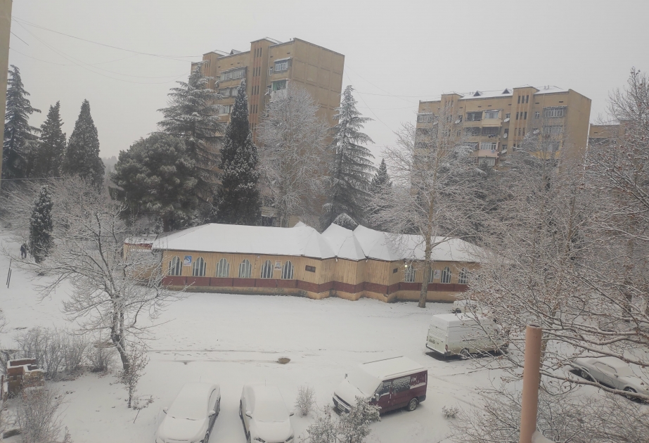 占贾被白雪覆盖