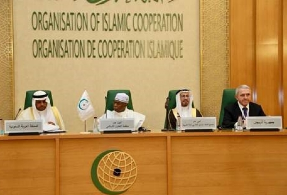 "التعاون الإسلامي" ومجمع الملك سلمان العالمي للغة العربية يحتفيان باليوم العالمي للغة العربية