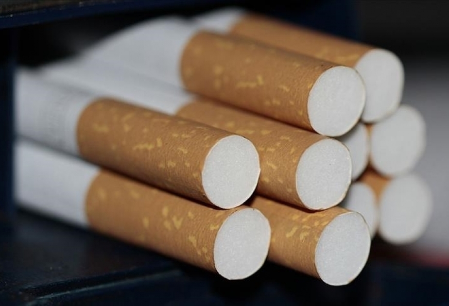 La OMS afirma que el número de consumidores de tabaco se ha reducido en 19 millones en los últimos dos años