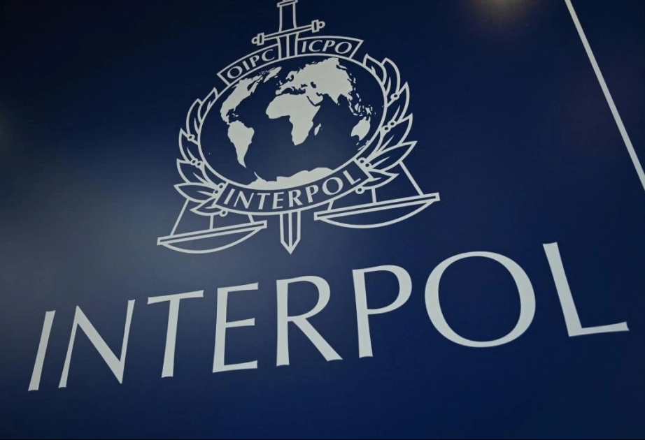 Interpol warnt vor neuen Kriminalitätsformen