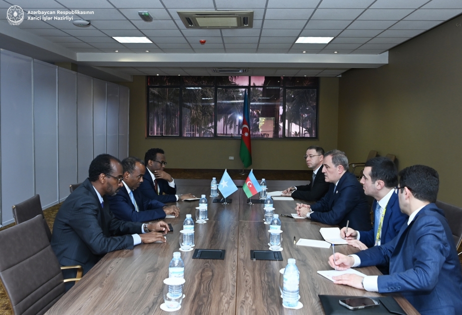 Somalia`s state minister thanks Azerbaijan for its efforts during NAM chairmanship