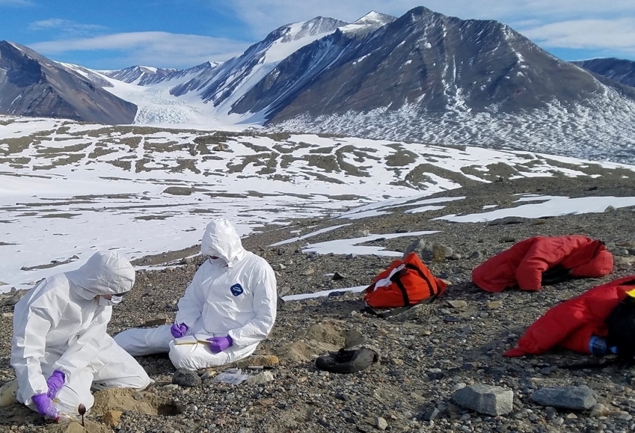 Arctic zombie viruses in Siberia could spark terrifying new pandemic, scientists warn