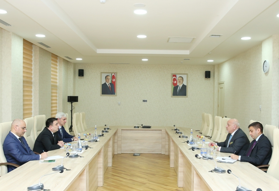 AZERTAC, Jordan News Agency Petra discuss prospects for enhancing cooperation VIDEO