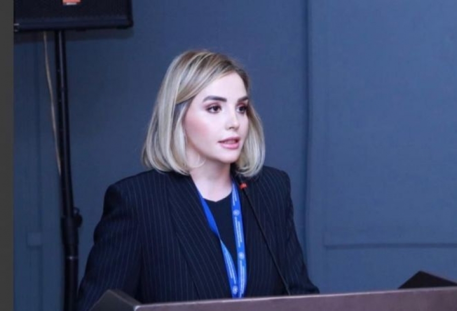 Avropa qurumlarında daxili nizamnamələrini pozaraq üzv ölkələrə təzyiq və təsir göstərmək təcrübəsi mövcuddur - Araşdırma