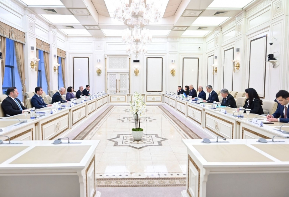 Акмал Саидов: В прошлом году в Узбекистане в период проведения конституционных реформ использовался опыт Азербайджана в этой области