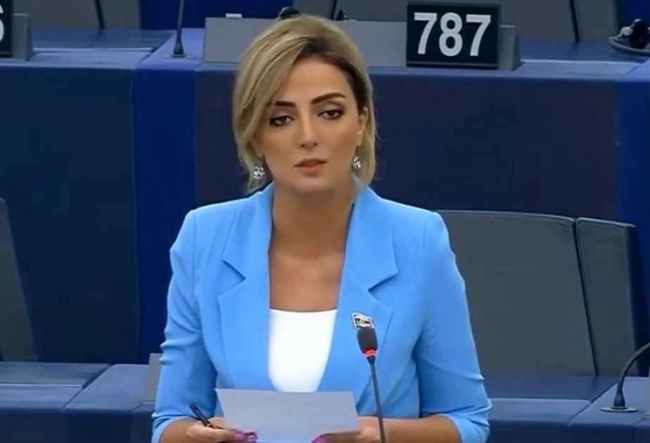 Azərbaycan üçün önəmli olan AŞPA-nın mövqeyi deyil, milli maraqlardır - RƏY