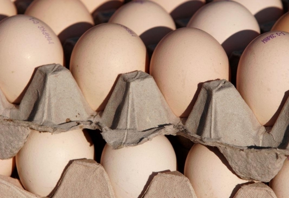 阿塞拜疆对俄罗斯出口鸡蛋数量达450万枚