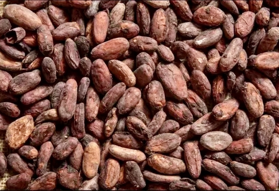 ABŞ alimləri flavonoidin beyni 30 il cavanlaşdırdığını müəyyən ediblər
