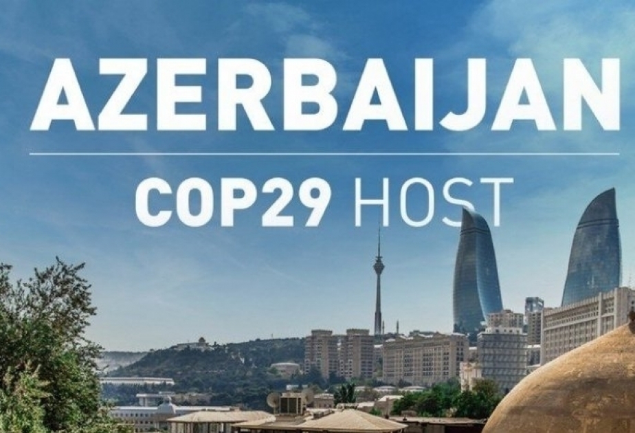 Гюнай Саглам: Мы должны подготовиться к COP29 на самом высоком уровне