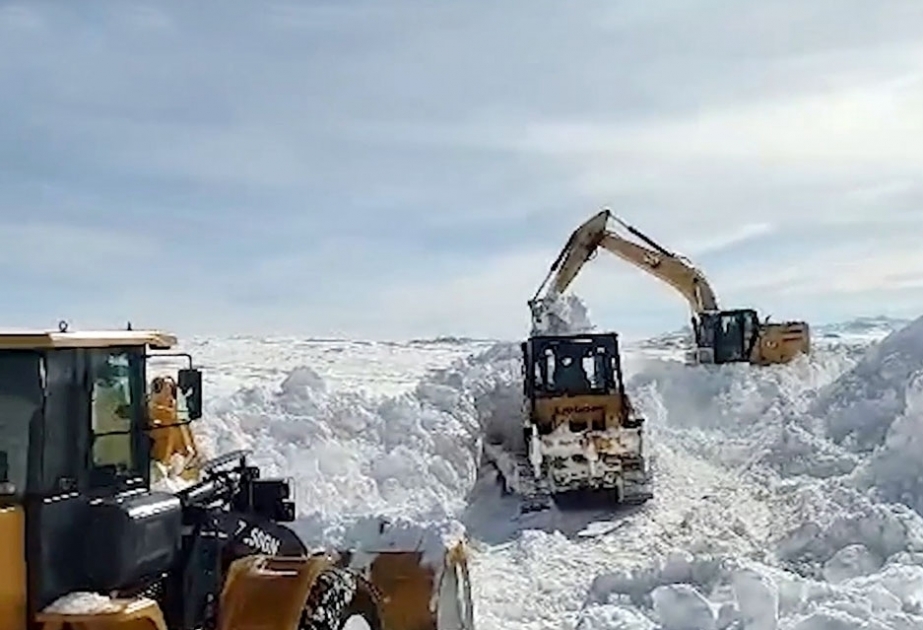 Министерство обороны представило еженедельный обзор ВИДЕО