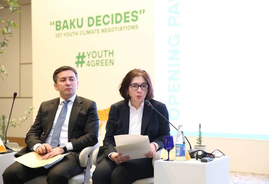 İndira Hacıyeva: Gənclərin ideyalarının iqlim dəyişiklikləri ilə bağlı problemlərin həllində istifadə edilməsi vacibdir