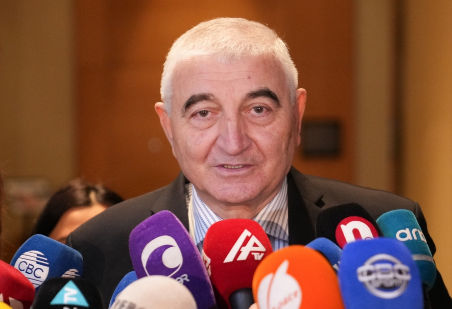 CEC Chairman: Nearly 80,000 observers registered for presidential election so far