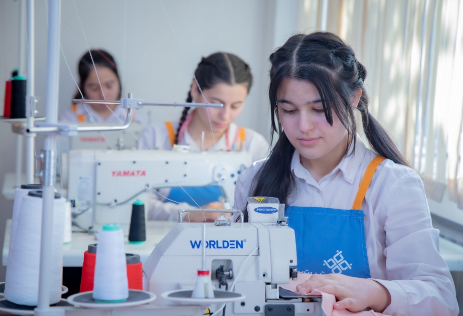 Peşə Təhsili üzrə Dövlət Agentliyi ötən il üzrə vətəndaş müraciətlərinin statistikasını açıqlayıb