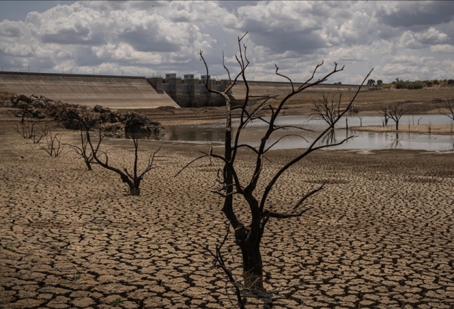 Andalucía aprueba el cuarto decreto de sequía en medio de una 