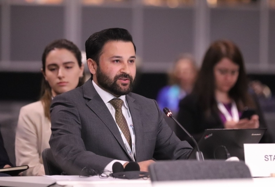Благодаря проведению COP29 Азербайджан станет одним из главных игроков в глобальной борьбе с изменением климата –  пакистанский эксперт