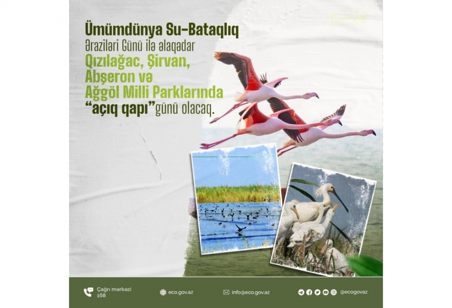 Sabah Qızılağac, Şirvan, Abşeron və Ağgöl milli parklarında “Açıq qapı” günü olacaq