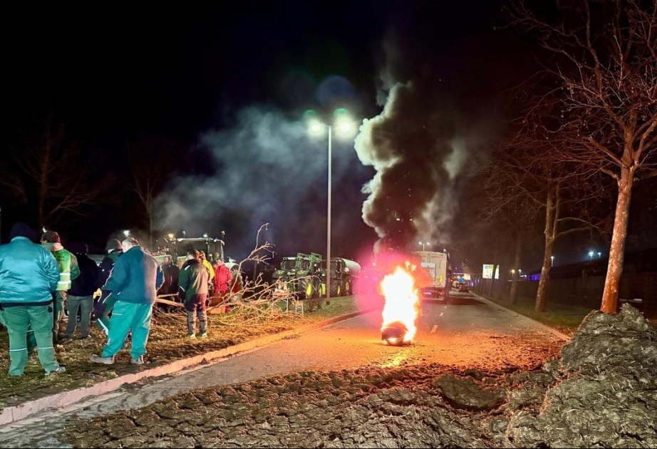 Bauernprotest: Landwirte kippen in Magdeburg Gülle auf die Straße und zünden Reifen an