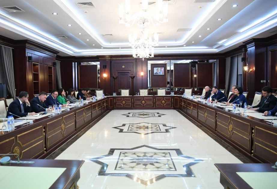 L’Azerbaïdjan et la République tchèque discutent de leur coopération interparlementaire