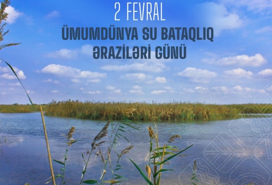 Bu gün Ümumdünya Su-Bataqlıq Əraziləri Günüdür