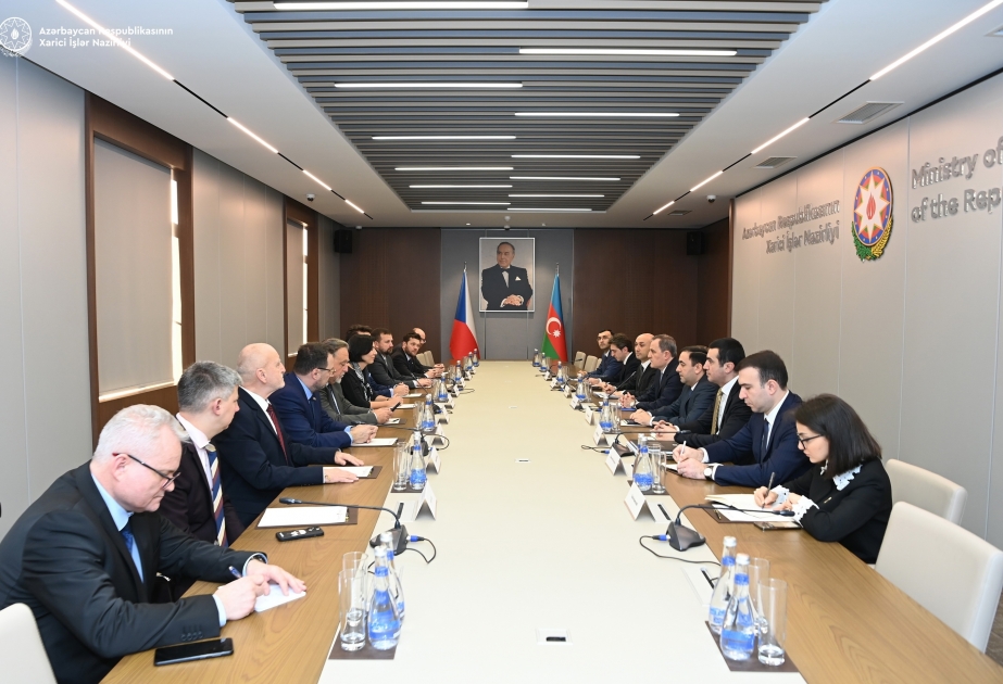 Azerbaijani FM: For first time in 30 years, conditions for peace with Armenia have been created
