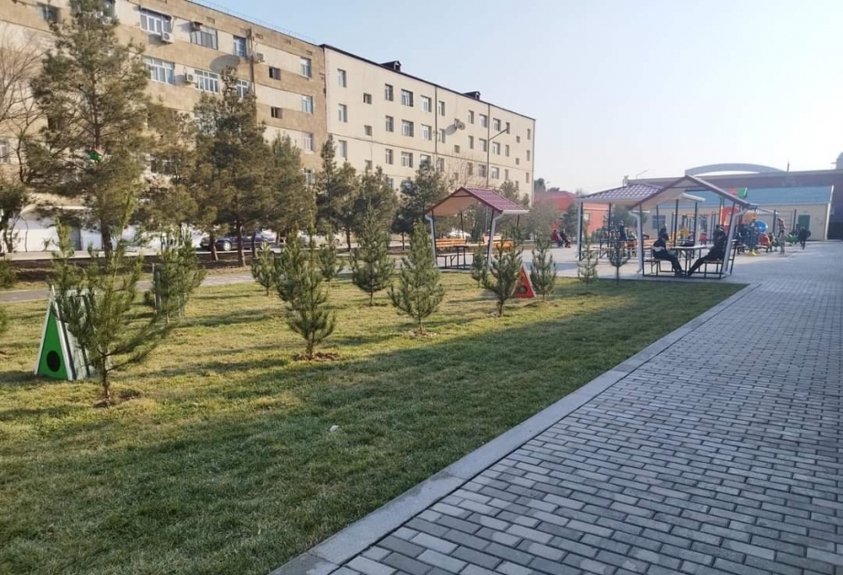 "Bizim həyət" layihəsi çərçivəsində Şirvan şəhərində sayca dördüncü həyət abadlaşdırılıb