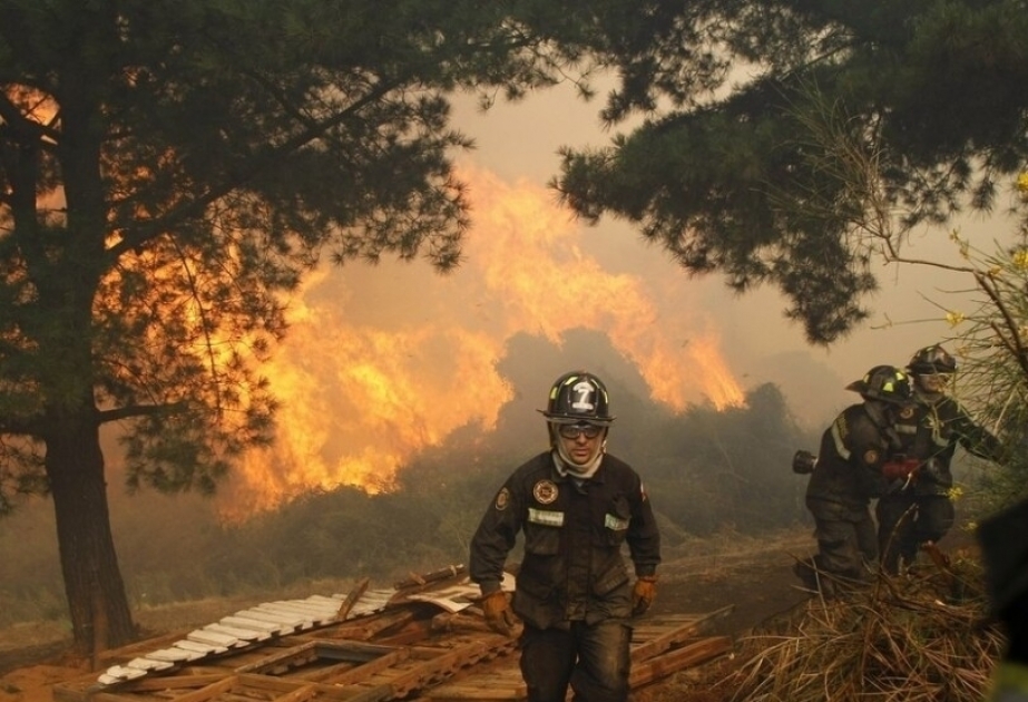 Chile declara el estado de emergencia por los violentos incendios forestales