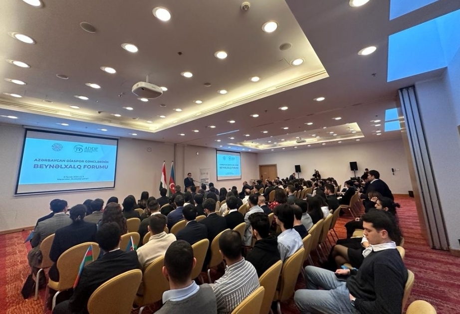 Azerbaijani ambassador to Hungary urges diaspora youth to actively participate in upcoming presidential election