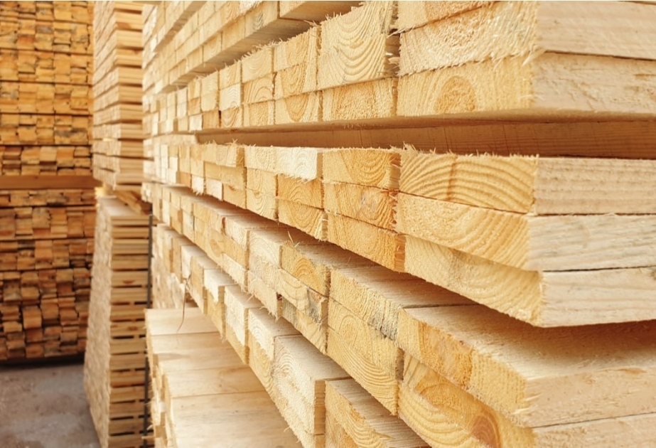 Azerbaiyán se encuentra entre los diez mayores importadores de madera aserrada de Rusia