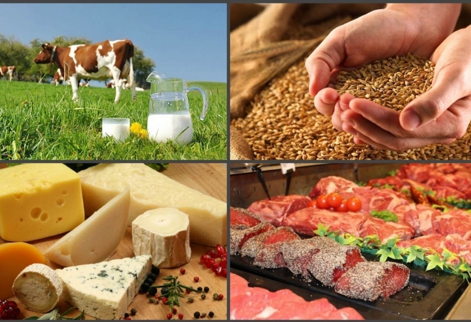 Record cereal output drives down food prices in January: FAO