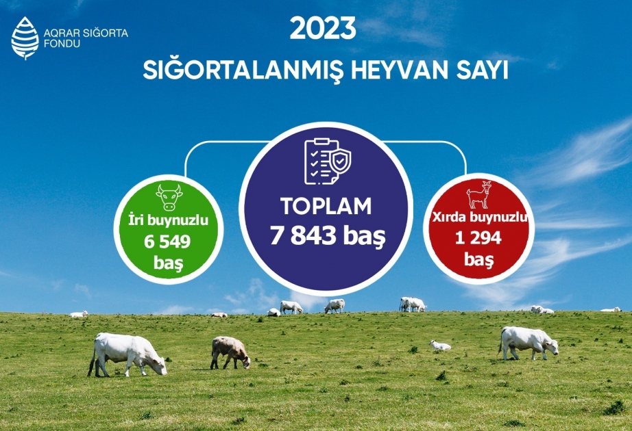 Azərbaycanda aqrar sığortadan faydalanan fermerlərin sayı artır