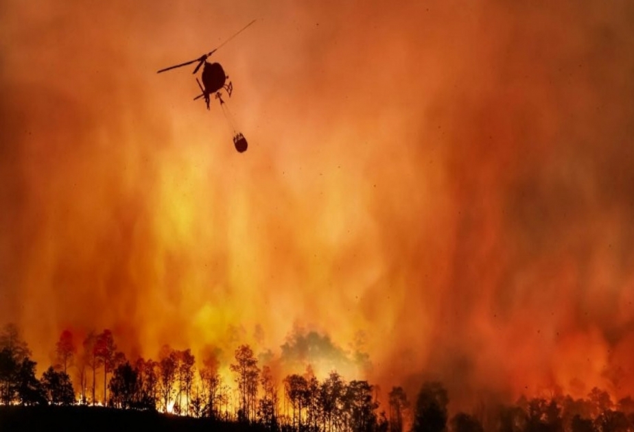 100 قتيل جراء حرائق الغابات في تشيلي