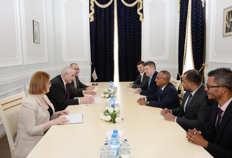 Ukrainian and Maldives CEC members informed about preparations for snap presidential election in Azerbaijan