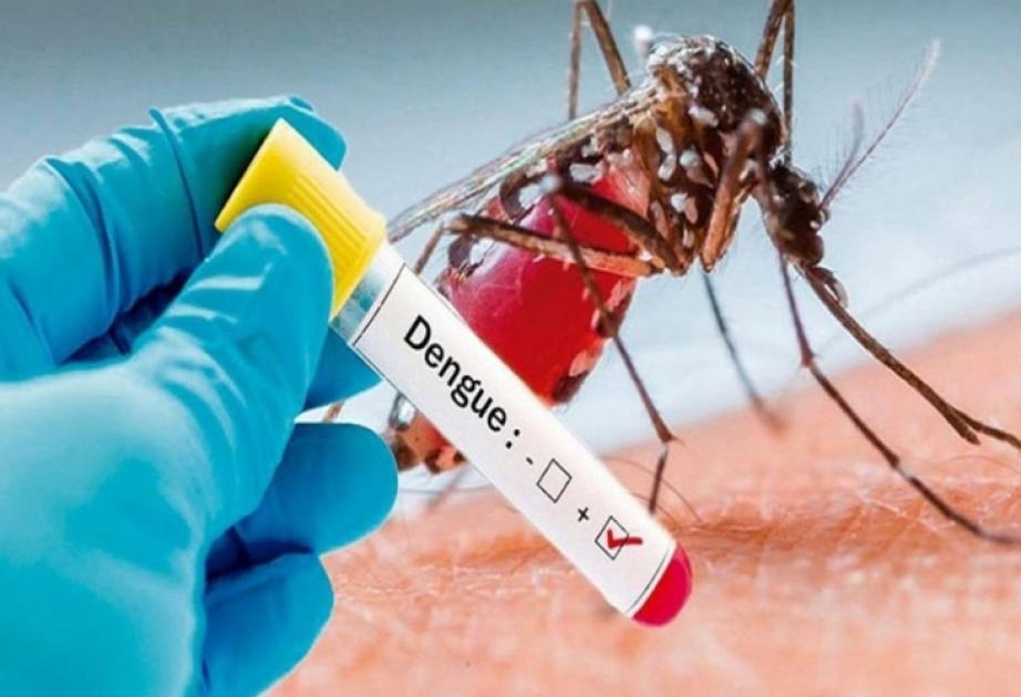 Braziliyada karnaval ərəfəsində denq epidemiyasına görə fövqəladə vəziyyət elan edilib