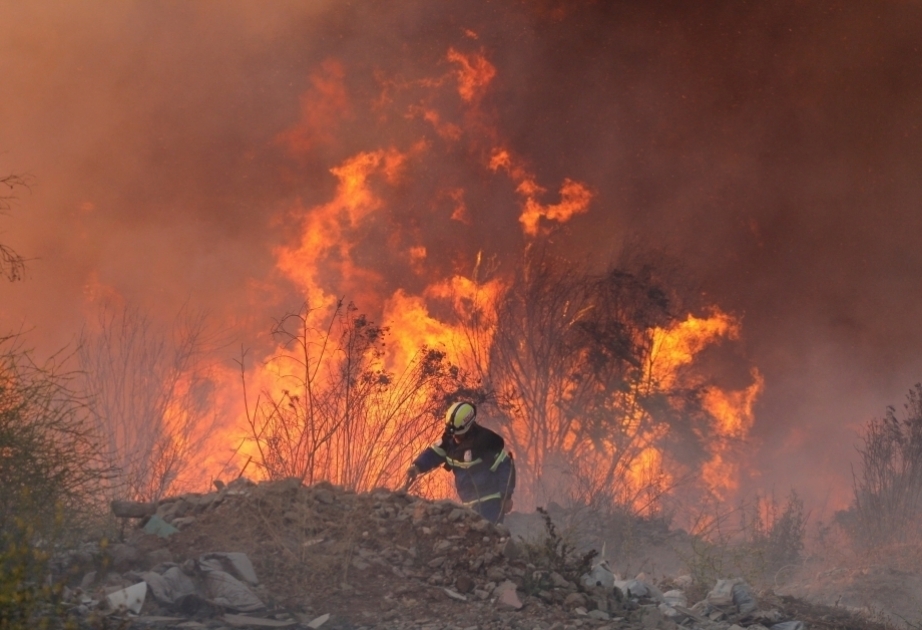 Le bilan des feux de forêt atteint 122 morts au Chili