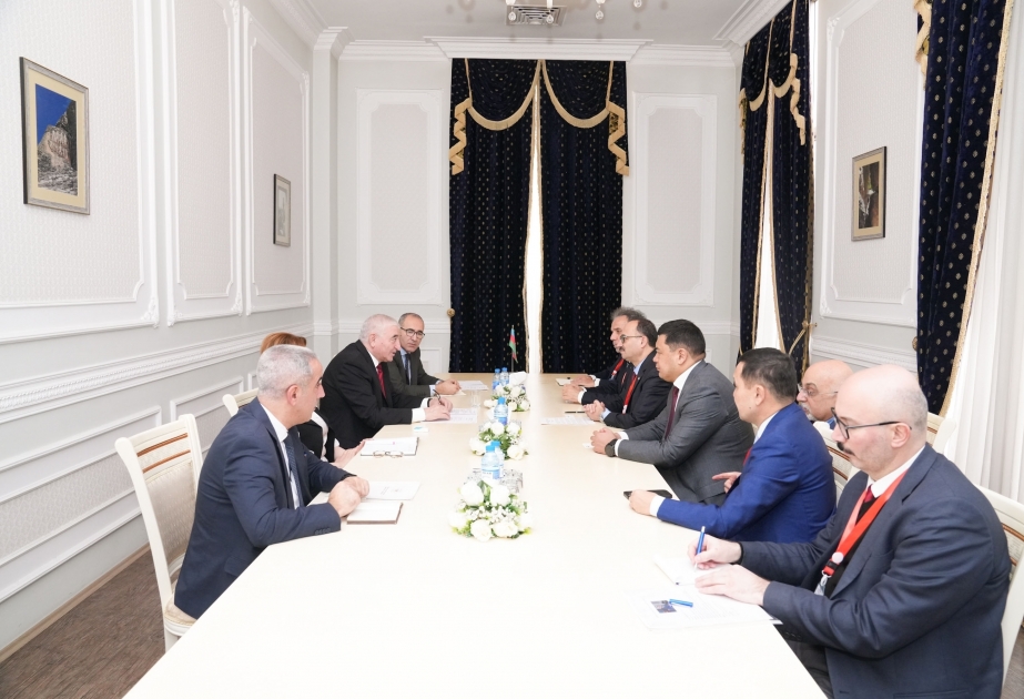 Председатель Центральной избирательной комиссии Мазахир Панахов встретился с делегацией ТЮРКПА ВИДЕО