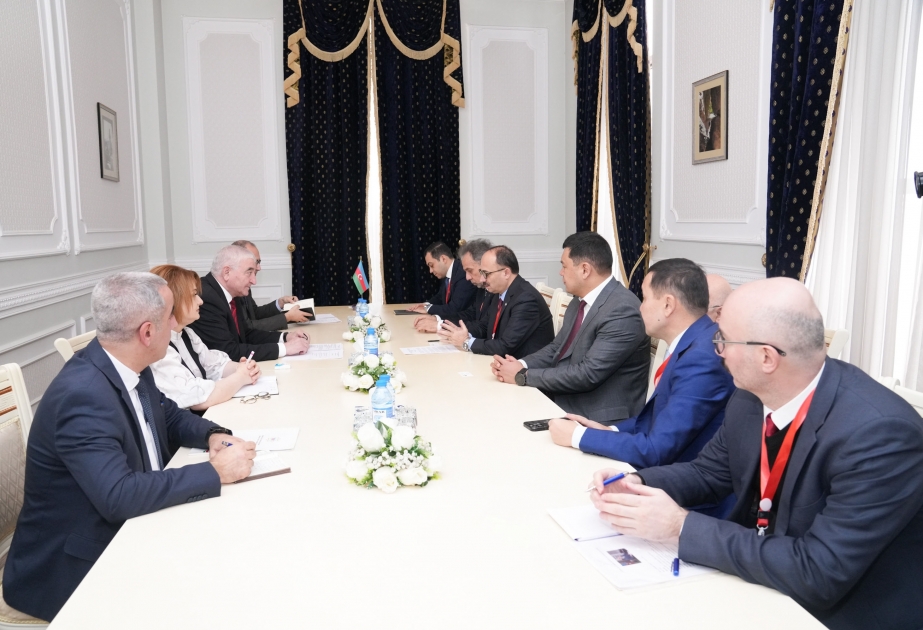 CEC Chairman: 89,366 local observers registered for presidential election