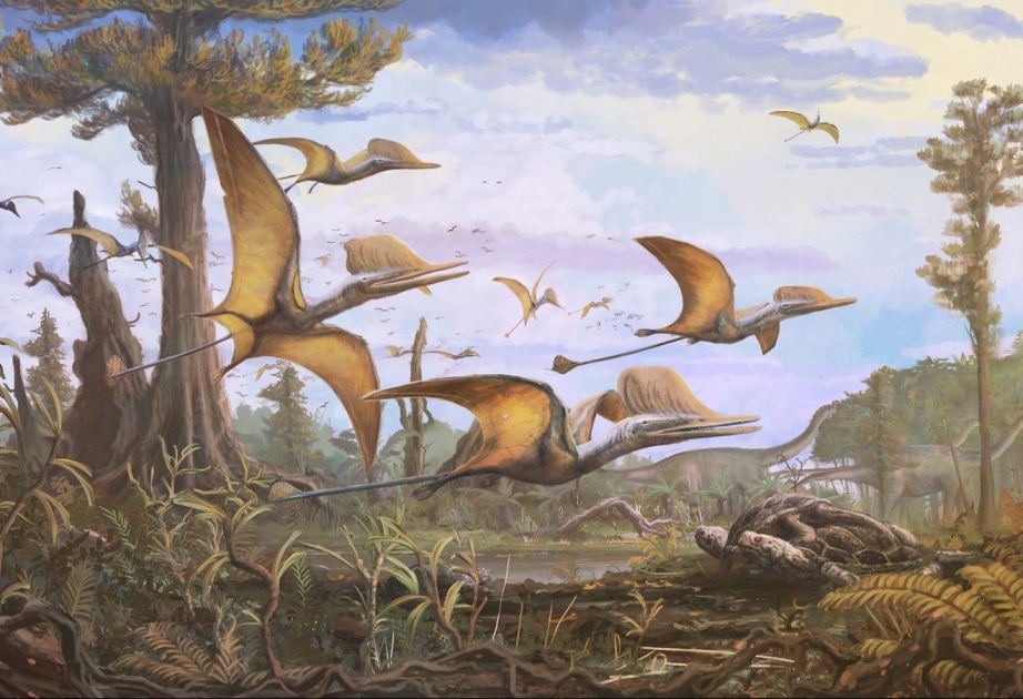 Şotlandiyada təxminən 170 milyon il əvvəl yaşamış pterozavr növü aşkar edilib