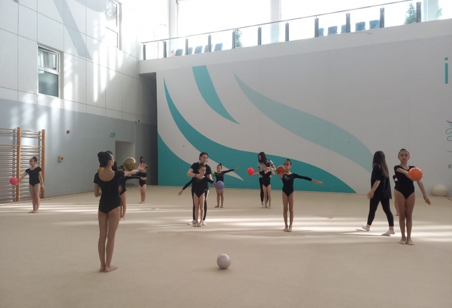 Bölgə gimnastları Bakıda növbəti təlim-məşq toplanışına başlayıblar