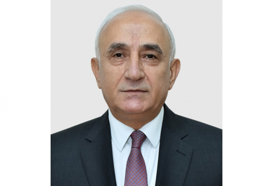 Professor: Azərbaycan nümayəndə heyətinin hüquqları bərpa olunmalıdır