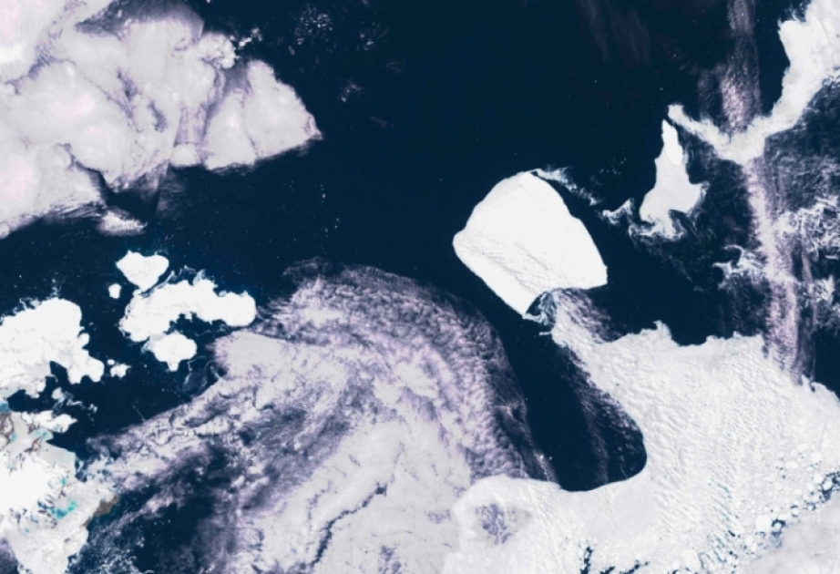 Klimawandel: Rekordtemperatur für Januar