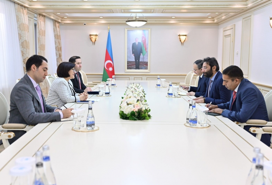 Müşahidə missiyalarının üzvləri: Azərbaycan beynəlxalq ictimaiyyətə açıq ölkədir