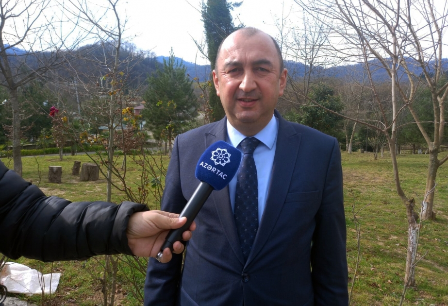Nazir müavini: Qax, Şəki, Samux rayonları ərazisində yeni milli parkın yaradılması ilə bağlı işlərə başlanılıb